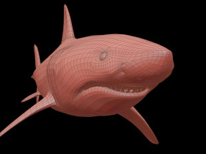 White shark 3D Model