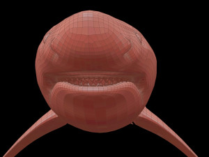 White shark 3D Model