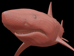 White shark 3D Model