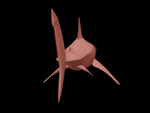 White shark 3D Model
