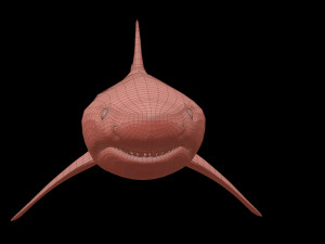 White shark 3D Model