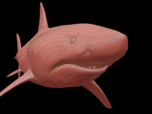 White shark 3D Model
