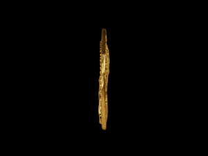 Golden Roman coin Modèle 3D