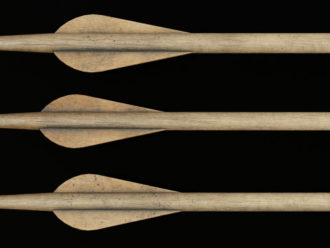 Medieval arrows for a crossbow 3D Model