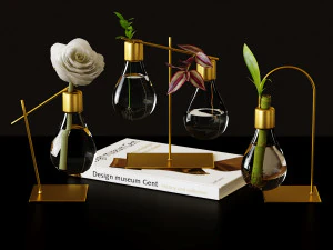 Set of hydroponic vases with plants 3D Model