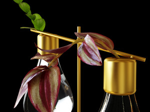 Set of hydroponic vases with plants 3D 模型