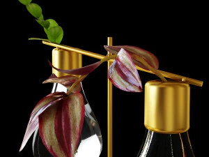 带植物的水培花瓶套装 3D 模型