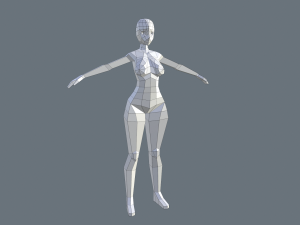 BaseMesh Modelo 3D
