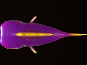 Fish - Cartoon Modello 3D
