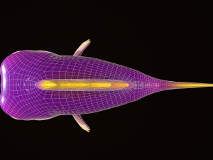 Fish - Cartoon Modello 3D