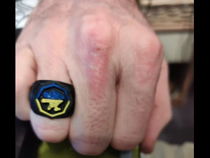 RING UKRAINE 3D Model