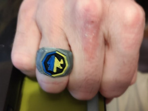 RING UKRAINE 3D-Modell