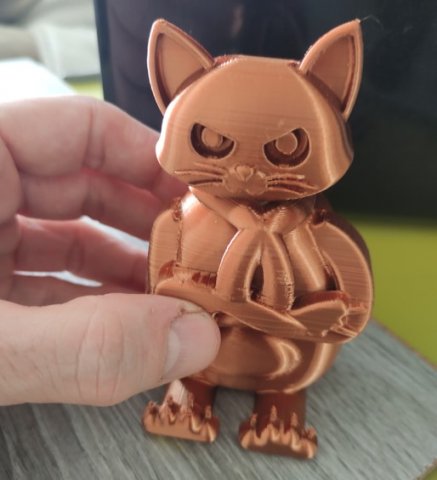 GRUMPY CAT Model 3D .c4d .max .obj .3ds .fbx .stl .blend 