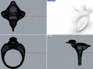 Ring Little Duck 3D Model