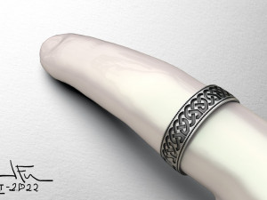 Celtic Ring 3D Model