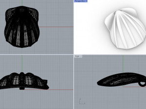 Sea Shell Pendant 3D Model