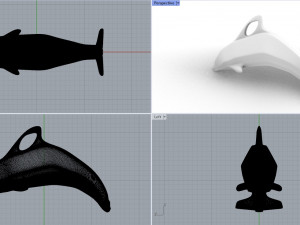 Pendant Dolphin 3D 모델