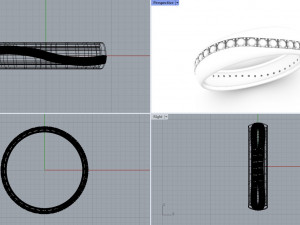 Ring Gems Curve 3D Model