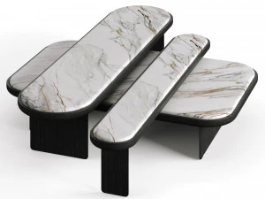 Галлотті Радіче Сенсей 3D Модель