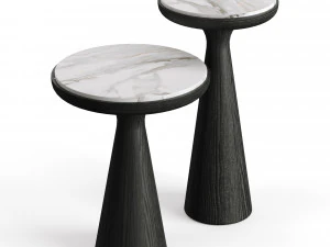 Gallotti Radice Fante Coffee Table 3D Model
