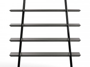 Duoo Zegen Shelving Unit Model 3D