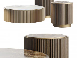 Ana Roque PLUM 커피 테이블 3D 모델