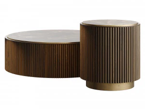 Ana Roque PLUM Coffee Table 3D Model
