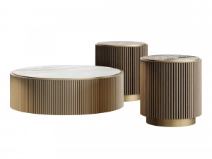 Ana Roque PLUM Coffee Table 3D Model