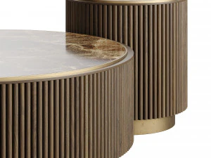 Ana Roque PLUM Coffee Table 3D Model