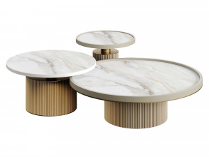 Ana Roque TENOR Coffee Table 3D Model