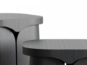 Collection Particuliere MIO Side Table 3D Model