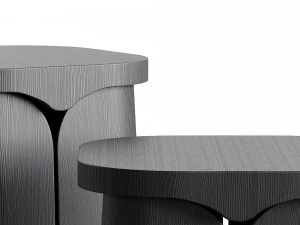 Collection Particuliere MIO Side Table 3D Model