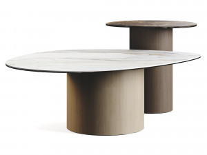 Calligaris Mushroom Coffee TopTables Marble 3D 모델