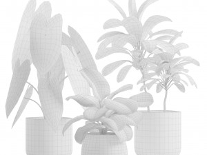 Indoor Plants Pack 14 3D Model
