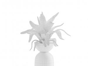 Indoor Plants Pack 13 3D Model