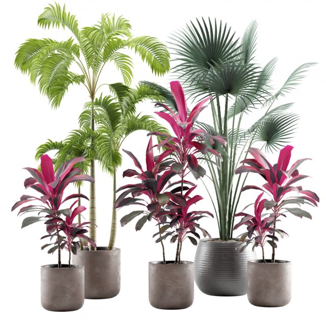 Indoor Plants Pack 12 3D मॉडल .c4d .max .obj .3ds .fbx .stl .blend 