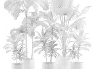Indoor Plants Pack 12 3D Model