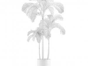Indoor Plants Pack 12 3D Model