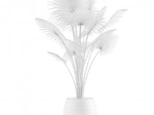 Indoor Plants Pack 12 3D Model