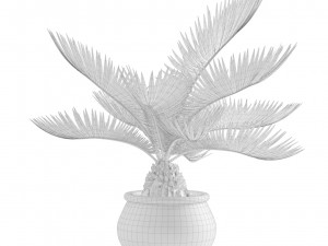 Indoor Plants Pack 11 Model 3D