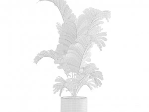 Indoor Plants Pack 10 3D Model