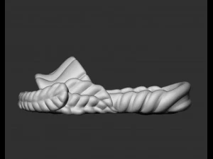 Slipper 3D Print Model 3D Print Model
