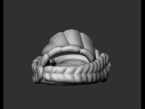 Slipper 3D Print Model 3D Print Model