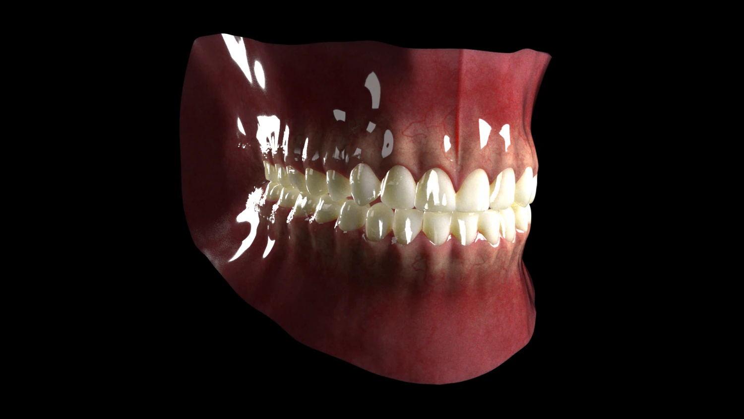 Mouth Model 3D Model .c4d .max .obj .3ds .fbx .stl .blend 