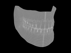 Mouth Model 3D Model