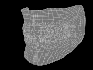 Mouth Model 3D Model