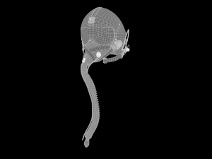 Pilot Helmet Model 3D