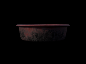 Bloody Dish Model 3D