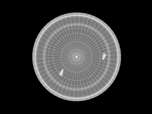 Bloody Dish 3D Model