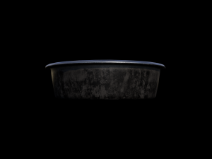 Simple Dish 3D 模型